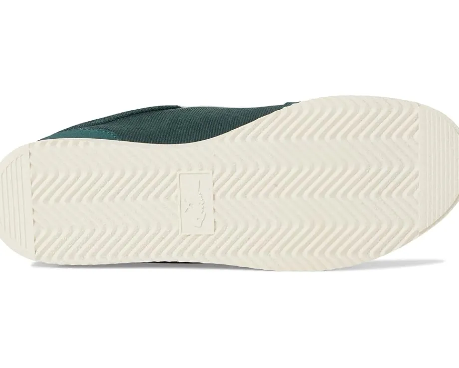 Women Rocket Dog Bolt