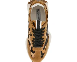 Steve Madden Campo Sneaker Leopard/Tan New