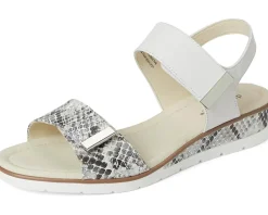 Women David Tate Civic