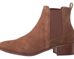 Women Steve Madden Dover Bootie
