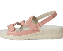 Women David Tate Femme