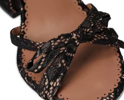 Women Steve Madden Hara