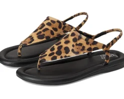 Women Franco Sarto Jocelyn