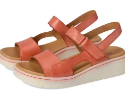 Born Kit Orange Outlet