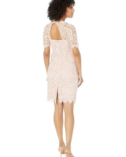 Vince Camuto Lace Jewel Neck Elbow Sleeve Bodycon Open Back Dress Blush Online