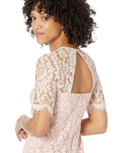 Vince Camuto Lace Jewel Neck Elbow Sleeve Bodycon Open Back Dress Blush Online