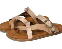 Blowfish Malibu Lilac Oak Faux Leather New