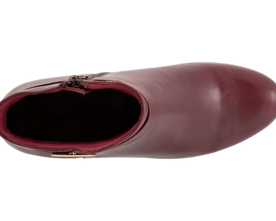 Women Trotters Melody