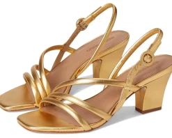 Bernardo Naples Gold New