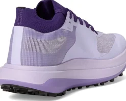 Arc'teryx Sylan Pro Light Aster/Light Aster Discount