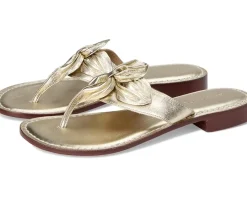 Women Bernardo Taormina