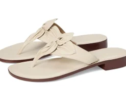 Bernardo Taormina Eggshell Sale