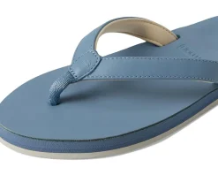 hari mari The Clipper Skylark Online