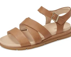 Dr. Scholl's Timeless Life Honey Smooth New