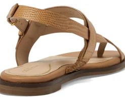 Women Cole Haan Women's Anica Lux Buckle Sandals