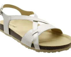 David Tate Women's Genius Online