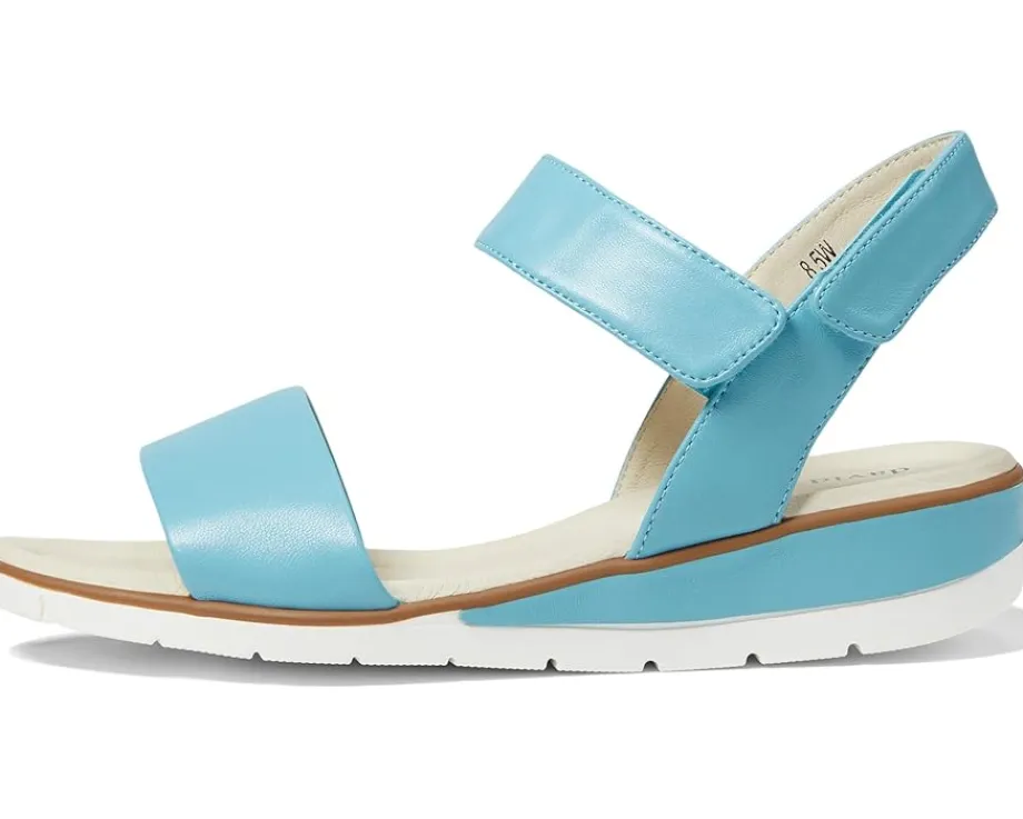 Women David Tate Women's Scala