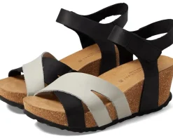 Women Eric Michael Women's Olympia