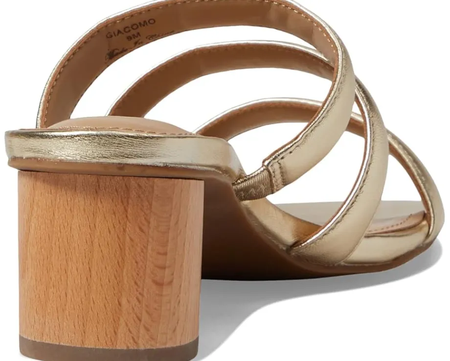 Women NYDJ Women's Giacomo